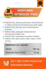 ACTIVUS NORTHWAY SITIKOLIN PQQ - Odaklanma ve Hafıza Desteği İçin Destekleyici Gıda Takviyesi | 30 Kapsül