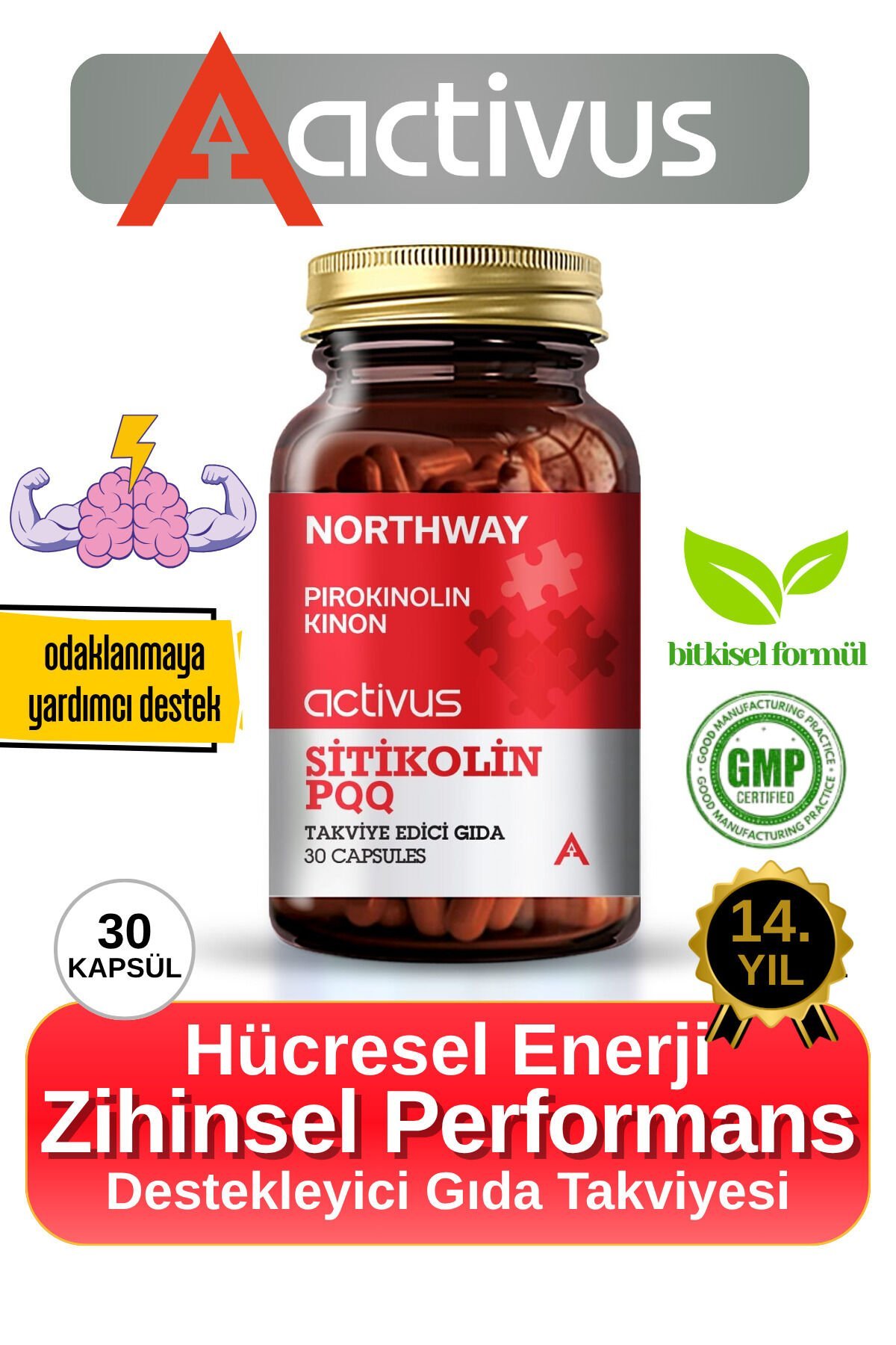 Northway Sitikolin PQQ - Odaklanma ve Hafıza Desteği İçin Destekleyici Gıda Takviyesi