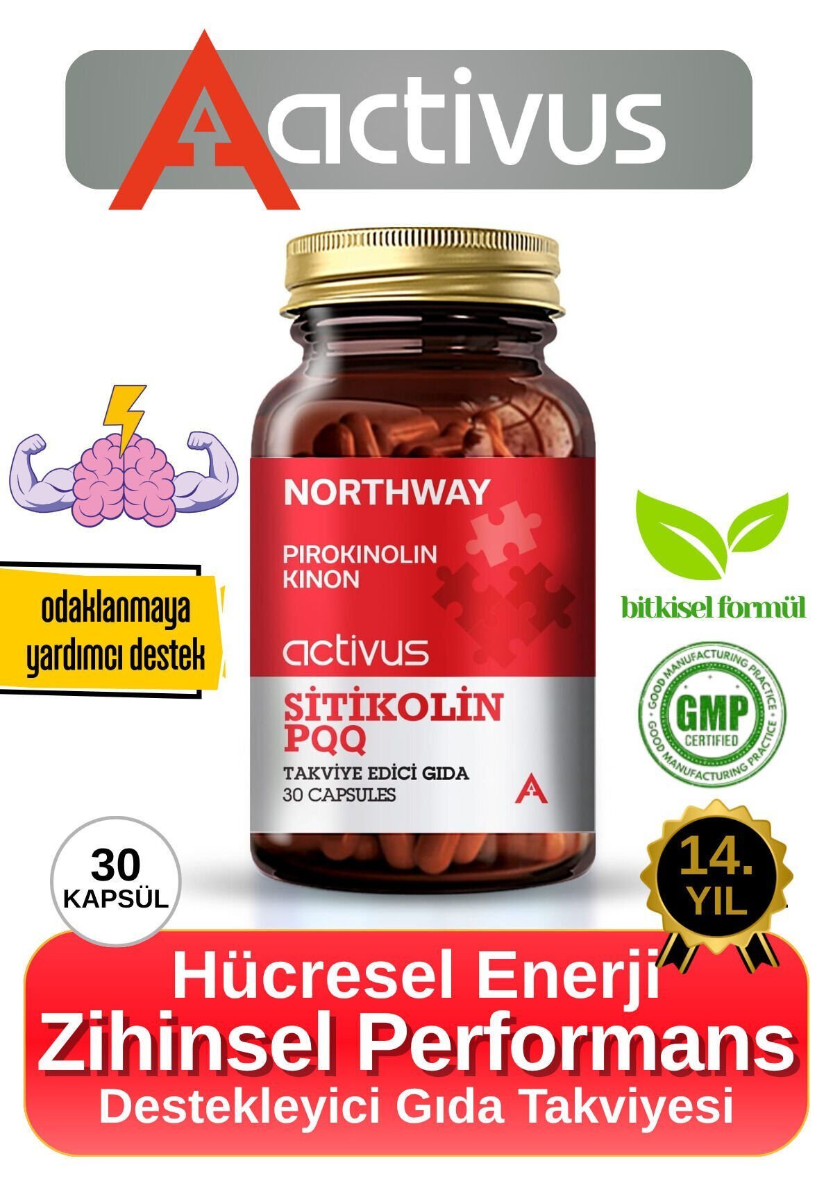 Northway Sitikolin PQQ - Odaklanma ve Hafıza Desteği İçin Destekleyici Gıda Takviyesi