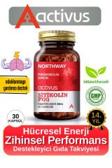 Northway Sitikolin PQQ - Odaklanma ve Hafıza Desteği İçin Destekleyici Gıda Takviyesi