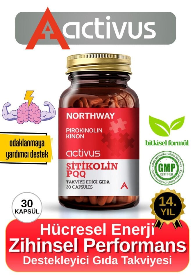 Northway Sitikolin PQQ - Odaklanma ve Hafıza Desteği İçin Destekleyici Gıda Takviyesi