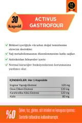 GASTROFOUR Detoks Bitkisel Karaciğer ve Sindirim Sistemi Takviye Edici Gıda Kolin Enginar