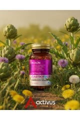 GASTROFOUR Detoks Bitkisel Karaciğer ve Sindirim Sistemi Takviye Edici Gıda Kolin Enginar