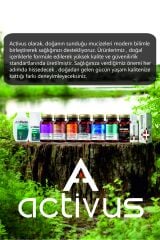 ACTIVUS GASTROFOUR Detoks Bitkisel Karaciğer ve Sindirim Sistemi Takviye Edici Gıda Kolin Enginar | 30 Kapsül