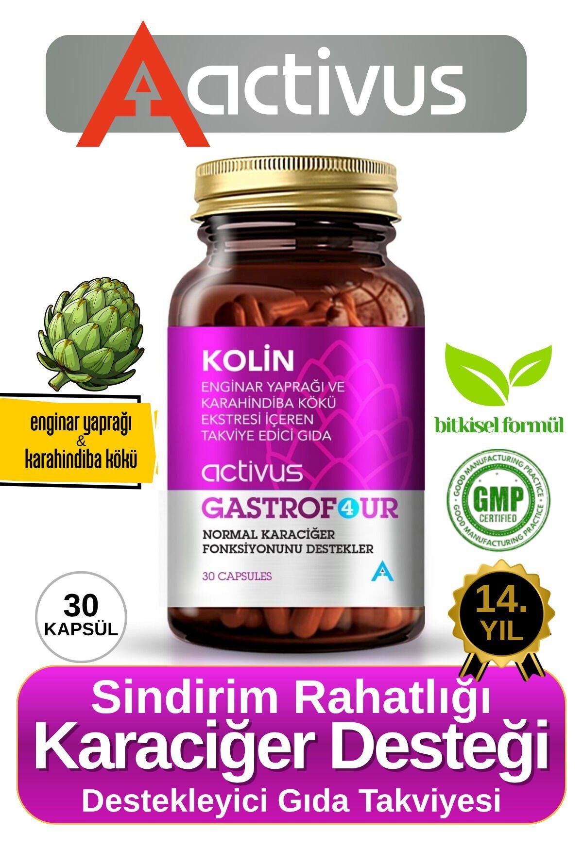 GASTROFOUR Detoks Bitkisel Karaciğer ve Sindirim Sistemi Takviye Edici Gıda Kolin Enginar