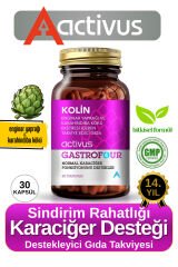 GASTROFOUR Detoks Bitkisel Karaciğer ve Sindirim Sistemi Takviye Edici Gıda Kolin Enginar