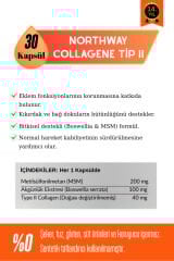 ACTIVUS NORTHWAY Kolajen Tip 2 - Eklem desteği Tam Destek Metilsülfonilmetan MSM Type II | 30 Kapsül