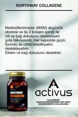 Northway Kolajen tip 2 Eklem desteği Tam Destek Metilsülfonilmetan MSM Type II diz dirsek bilek