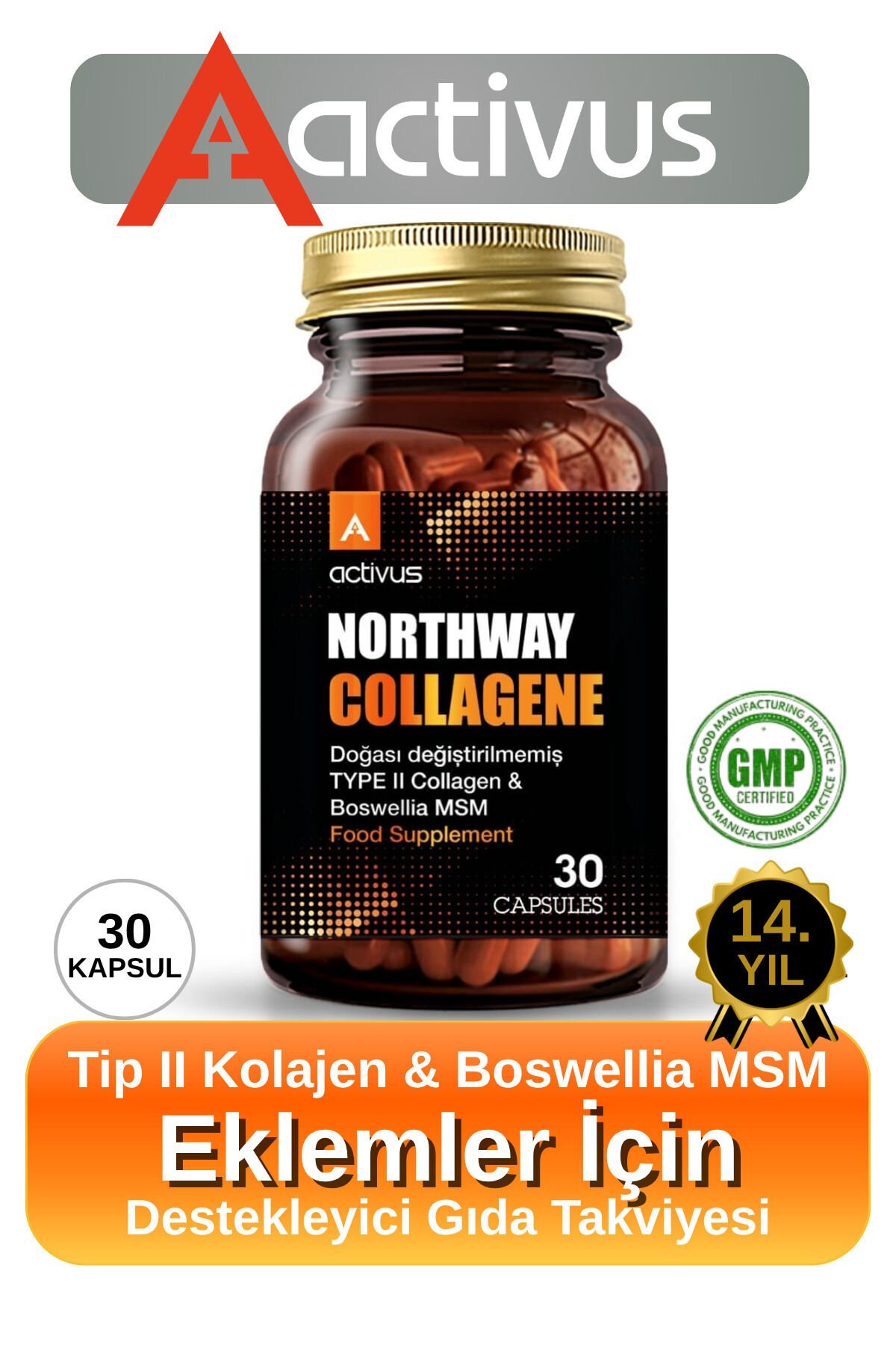 Northway Kolajen tip 2 Eklem desteği Tam Destek Metilsülfonilmetan MSM Type II diz dirsek bilek