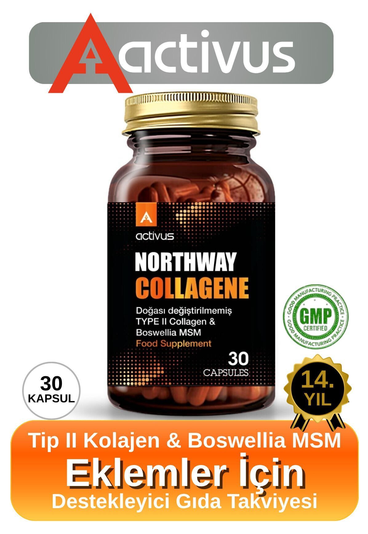 Northway Kolajen tip 2 Eklem desteği Tam Destek Metilsülfonilmetan MSM Type II diz dirsek bilek