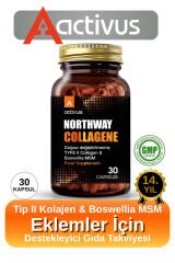 Northway Kolajen tip 2 Eklem desteği Tam Destek Metilsülfonilmetan MSM Type II diz dirsek bilek