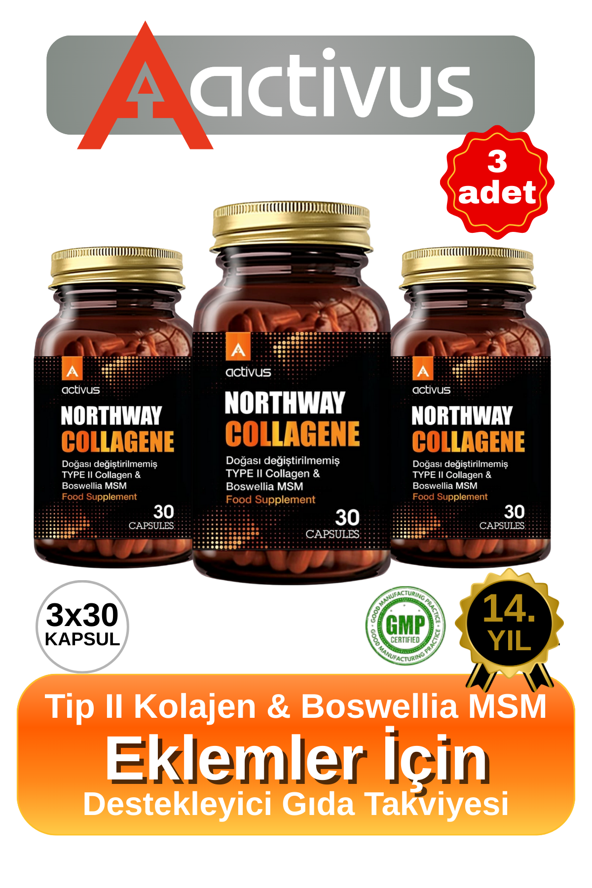 Northway Kolajen tip 2 Eklem desteği Tam Destek Metilsülfonilmetan MSM Type II 3'lü Paket